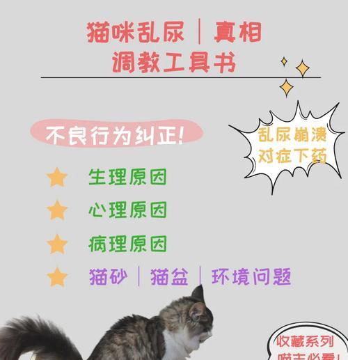 种公猫乱尿是什么原因？如何解决这一问题？