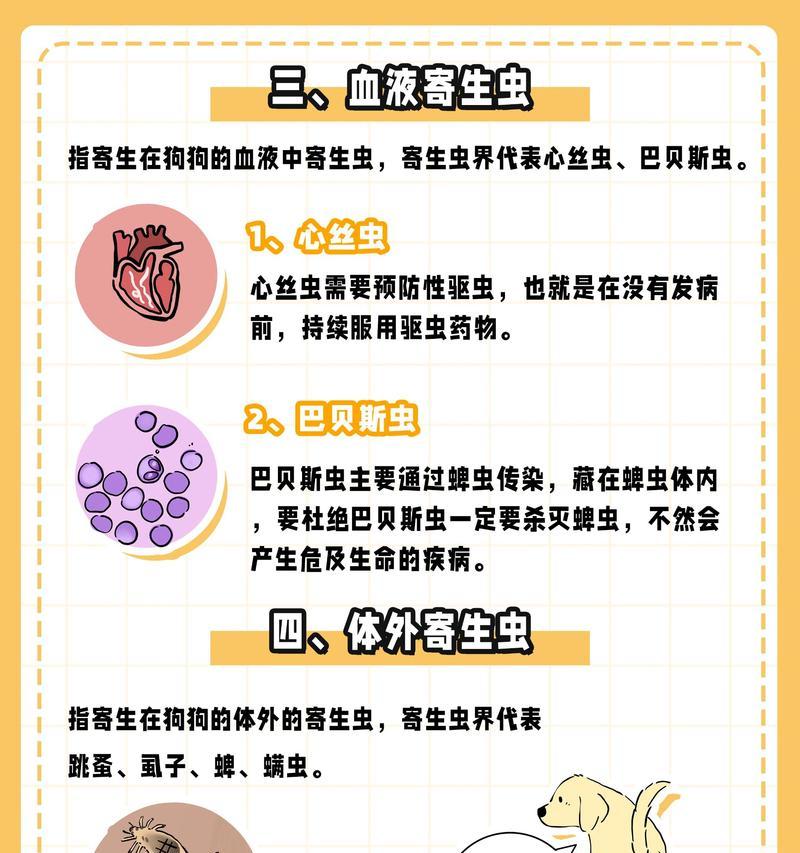 揭秘（宠物养护常识）