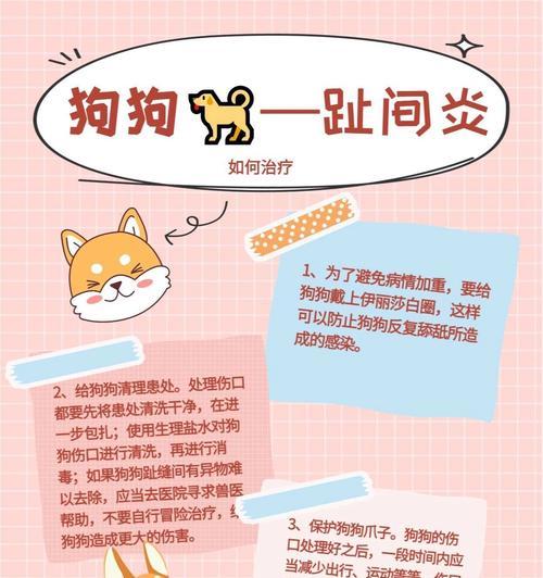 除去狗狗异味的全攻略（让你的宠物散发清新自然的香气）