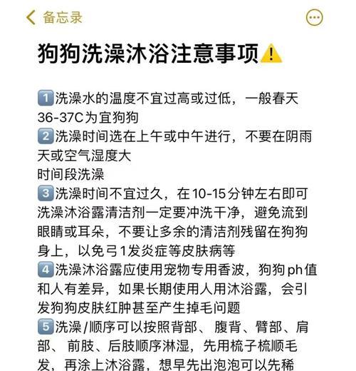 除去狗狗异味的全攻略（让你的宠物散发清新自然的香气）