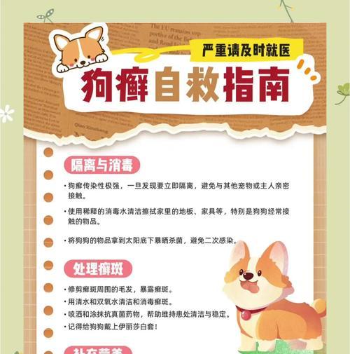 除去狗狗异味的全攻略（让你的宠物散发清新自然的香气）