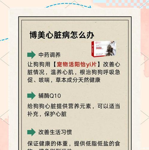 博美犬心跳过快是什么原因？如何缓解？