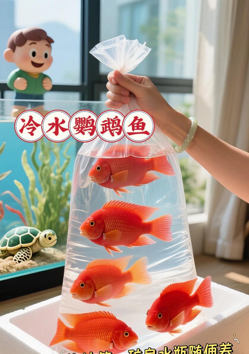 哪些观赏鱼不怕冷也不怕人?如何在家中饲养? 哪些观赏鱼不怕冷也不怕人?如何在家中饲养?