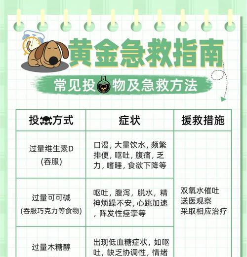 狗狗误食洗衣粉后如何急救？