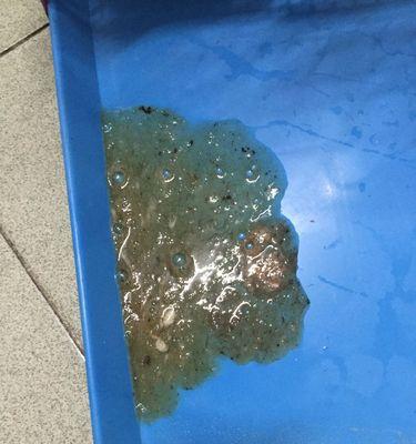 狗狗细小拉水治疗详解（以水为主的宠物细小治疗法）