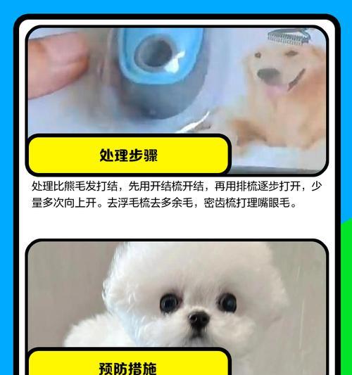狗狗毛发打结了怎么办？正确的梳理方法是什么？