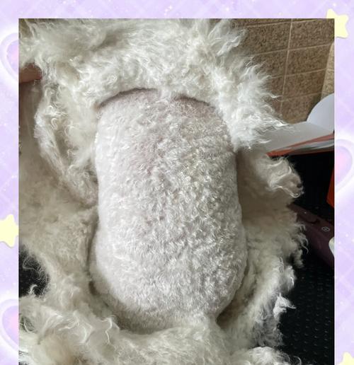 狗狗毛发打结了怎么办?正确的梳理方法是什么? 狗狗毛发打结了怎么办?正确的梳理方法是什么?