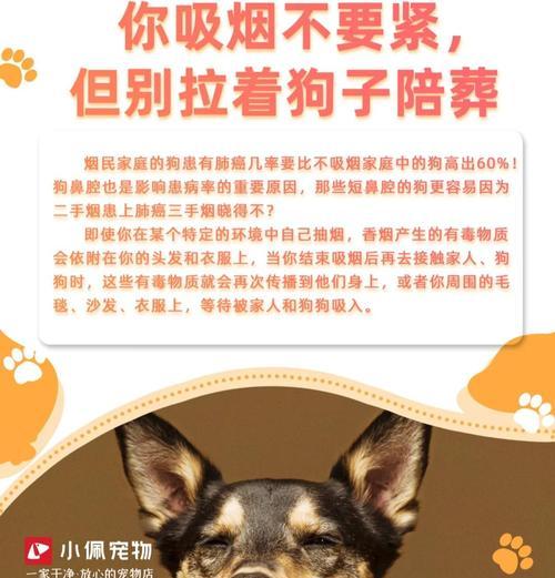狗狗毛发打结了怎么办?正确的梳理方法是什么? 狗狗毛发打结了怎么办?正确的梳理方法是什么?