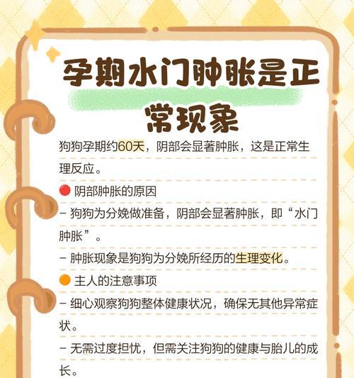 孕妇接触狗狗的注意事项（以宠物为主）