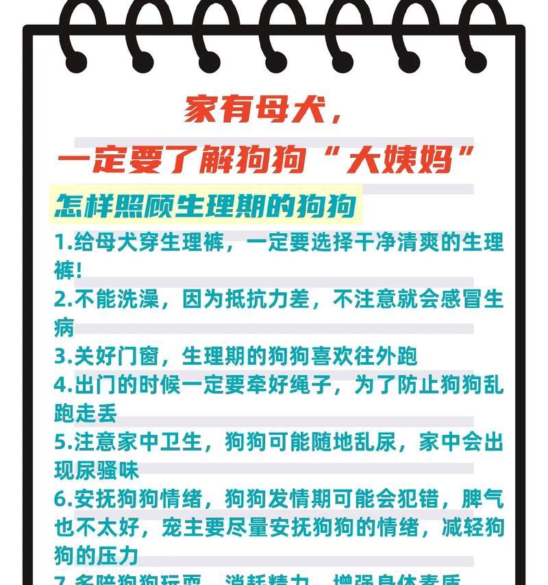 孕妇接触狗狗的注意事项（以宠物为主）