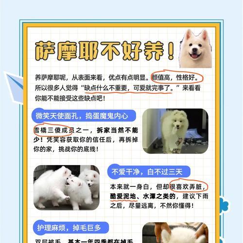 狗狗毛发质量如何判断？有哪些护理建议？