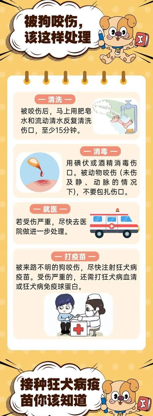狗狗伤口痒如何处理?有哪些安全的处理方法? 狗狗伤口痒如何处理?有哪些安全的处理方法?