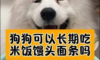 狗狗饮食之大米不拉，让你的宠物健康无忧（如何正确喂养狗狗）