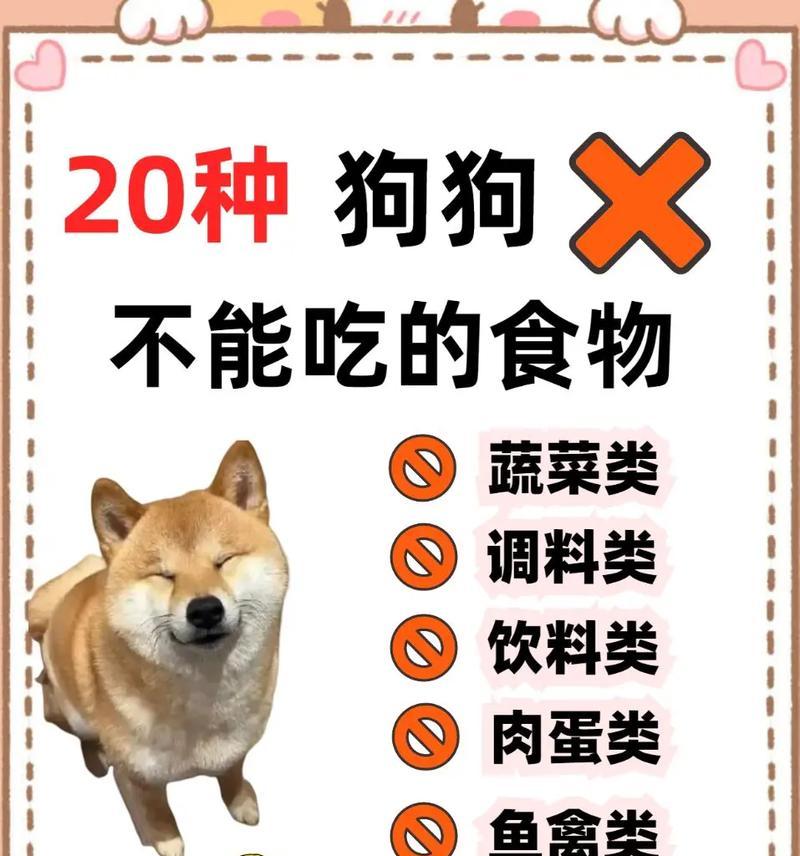 狗狗可以吃卤肉吗?狗狗吃卤肉的利弊是什么? 狗狗可以吃卤肉吗?狗狗吃卤肉的利弊是什么?