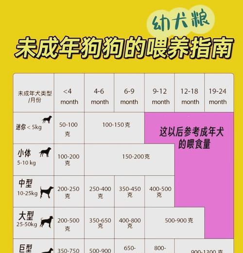 五个月大的哈士奇每天应该吃多少?如何制定合理的喂食计划? 五个月大的哈士奇每天应该吃多少?如何制定合理的喂食计划?