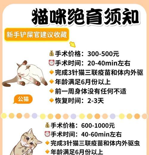 揭秘猫三联，保护宠物健康（了解猫三联的含义和必要性）
