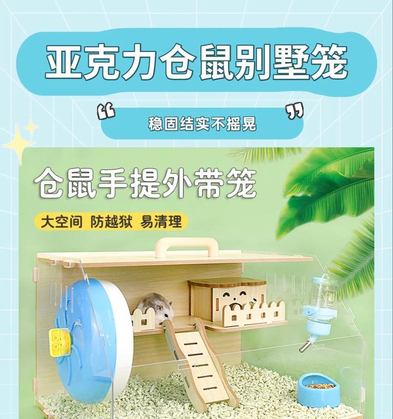 怎么买到大号仓鼠呢？在哪里可以购买到大号的仓鼠？