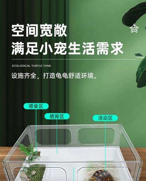 巴西龟裸缸的布置技巧有哪些?如何创造适宜的环境? 巴西龟裸缸的布置技巧有哪些?如何创造适宜的环境?