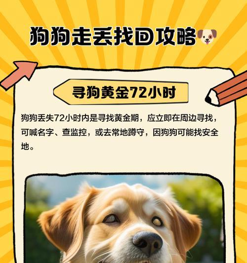 榆次地区狗狗走失后的寻找和处理方法? 榆次地区狗狗走失后的寻找和处理方法?