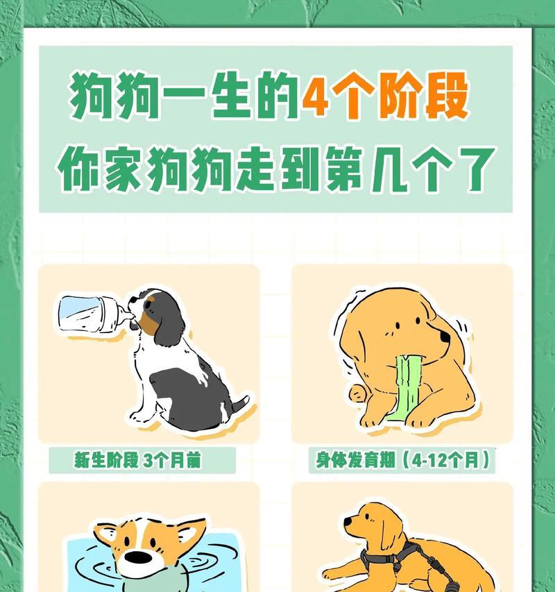 为什么狗会有爬跨的行为(探究狗的本能行为和社交需求) 为什么狗会有爬跨的行为(探究狗的本能行为和社交需求)