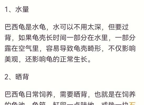 黑珍珠巴西龟的正确饲料是什么？喂食时应该注意什么？