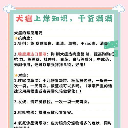 犬瘟狗狗抽搐应急处理指南（保护宠物健康）