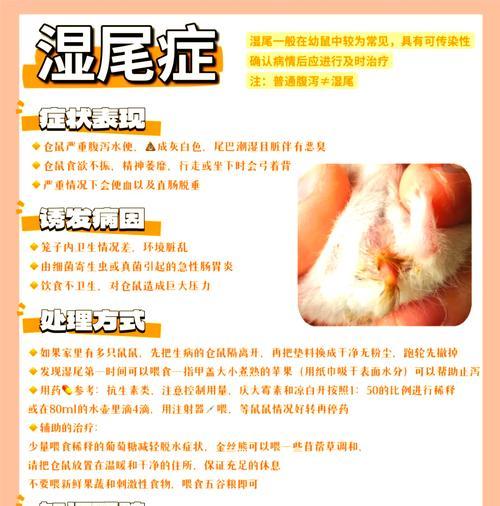 养仓鼠为何会感染病毒? 养仓鼠为何会感染病毒?