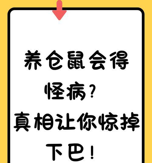 养仓鼠为何会感染病毒? 养仓鼠为何会感染病毒?