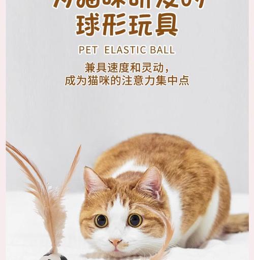 小猫会弹什么？有哪些有趣的技能？