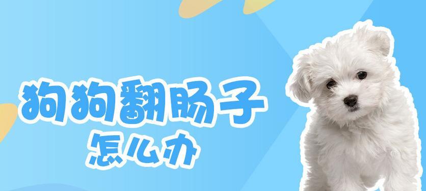狗狗为什么会翻肠子（探讨狗狗翻肠子的原因和预防措施）