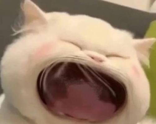 猫咪呼吸突然急促(解读猫咪呼吸突然急促的15个原因与应对措施) 猫咪呼吸突然急促(解读猫咪呼吸突然急促的15个原因与应对措施)