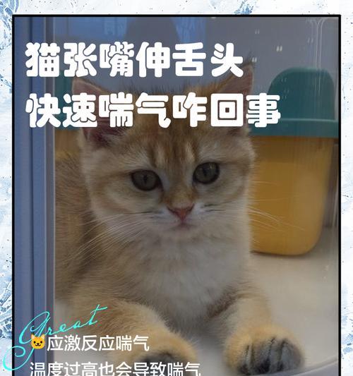 猫咪呼吸突然急促(解读猫咪呼吸突然急促的15个原因与应对措施) 猫咪呼吸突然急促(解读猫咪呼吸突然急促的15个原因与应对措施)