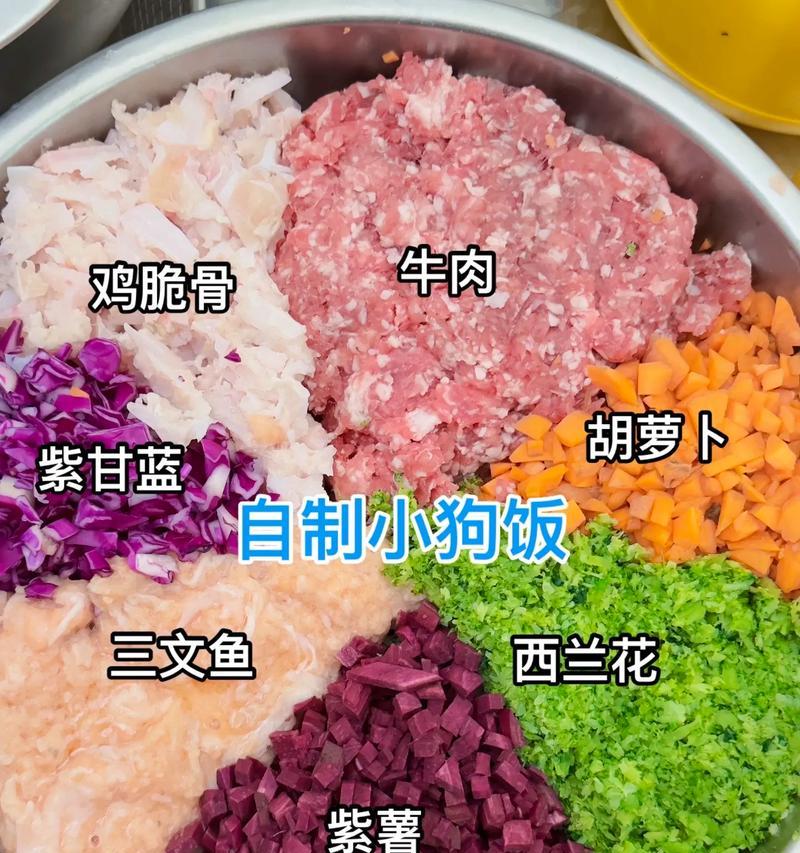 自制狗饭配方,为你的宠物提供营养均衡的饮食(DIY狗饭) 自制狗饭配方,为你的宠物提供营养均衡的饮食(DIY狗饭)
