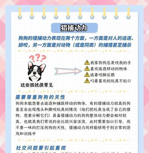 狗狗祟祟行为背后的含义是什么？如何纠正？