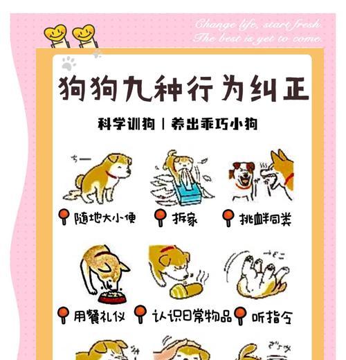 狗狗祟祟行为背后的含义是什么?如何纠正? 狗狗祟祟行为背后的含义是什么?如何纠正?