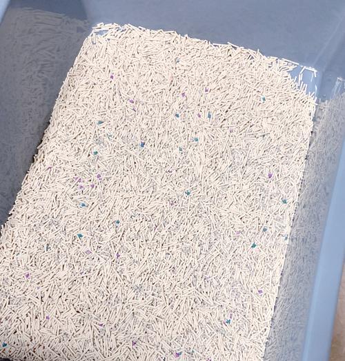 鼠粮用猫砂可行吗?价格为何高? 鼠粮用猫砂可行吗?价格为何高?