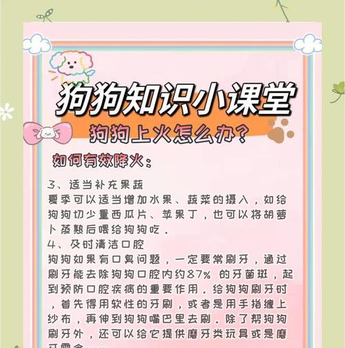 狗狗上火什么症状？狗狗上火的常见表现和处理方法是什么？