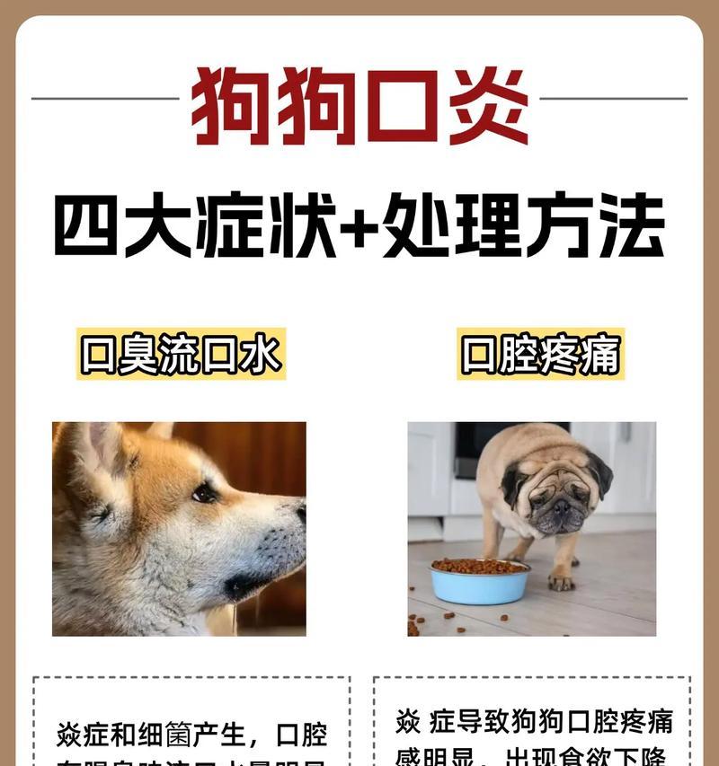 狗狗上火什么症状?狗狗上火的常见表现和处理方法是什么? 狗狗上火什么症状?狗狗上火的常见表现和处理方法是什么?