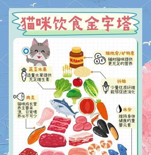 小猫下一阶段应该吃什么食物?如何合理安排饮食? 小猫下一阶段应该吃什么食物?如何合理安排饮食?