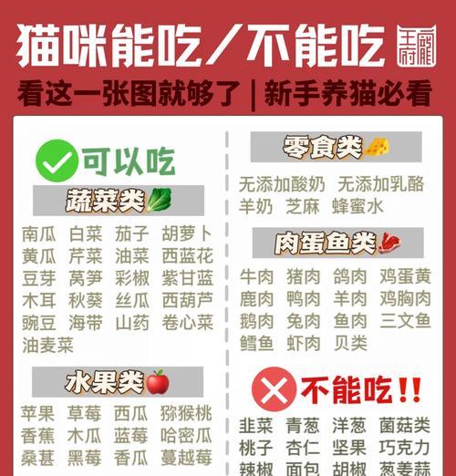 小猫下一阶段应该吃什么食物?如何合理安排饮食? 小猫下一阶段应该吃什么食物?如何合理安排饮食?
