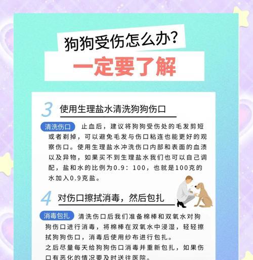 狗狗划伤后应该怎么办?如何进行紧急处理? 狗狗划伤后应该怎么办?如何进行紧急处理?