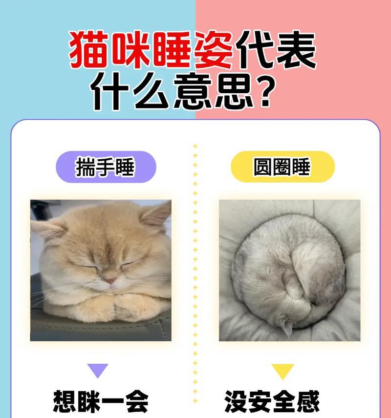 小猫睡在床边有何含义? 小猫睡在床边有何含义?