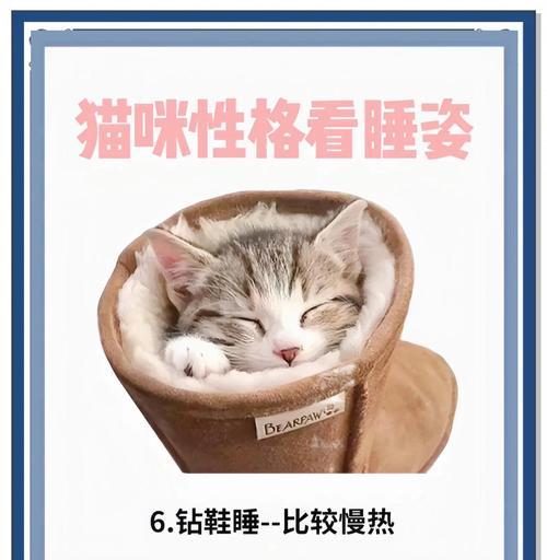 小猫睡在床边有何含义? 小猫睡在床边有何含义?