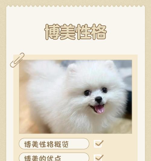 博美七个月相当于人类多少岁？成长阶段特点是什么？