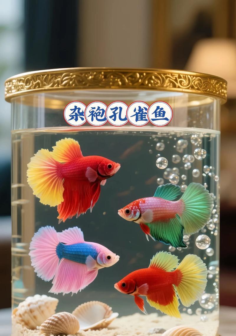 小精灵鱼吸孔雀鱼怎么回事?这种行为对鱼群有何影响? 小精灵鱼吸孔雀鱼怎么回事?这种行为对鱼群有何影响?