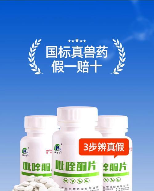 宠物猫咪长猫藓怎么办(猫咪长猫藓可以吃什么药) 宠物猫咪长猫藓怎么办(猫咪长猫藓可以吃什么药)