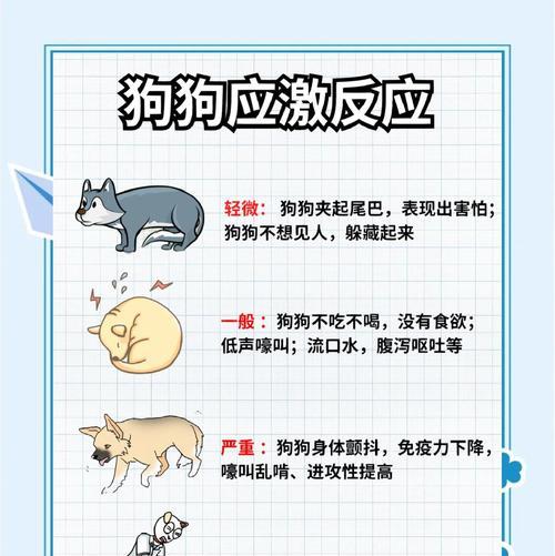 为什么狗狗会踢门？狗狗踢门行为的心理分析是什么？