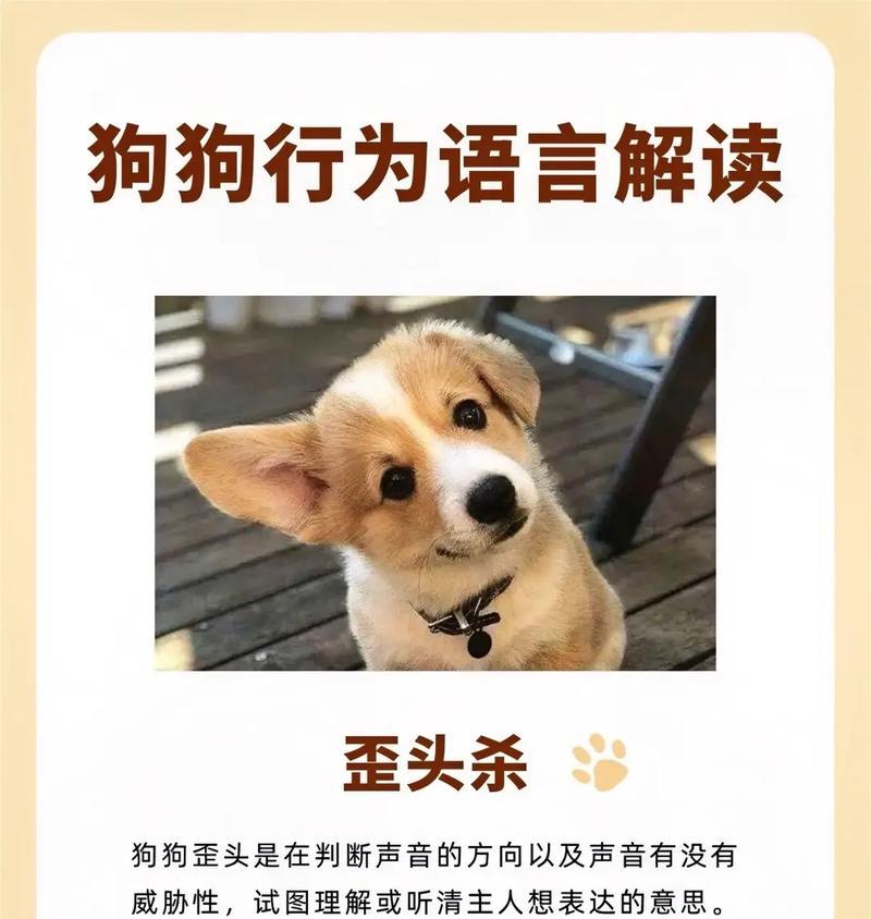 为什么狗狗会踢门?狗狗踢门行为的心理分析是什么? 为什么狗狗会踢门?狗狗踢门行为的心理分析是什么?