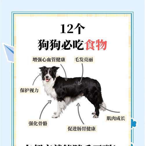 狗狗喜欢什么食物？如何平衡营养和口味？