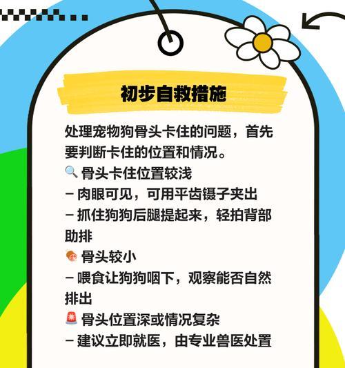 狗狗卡住异物时的紧急处理方法？